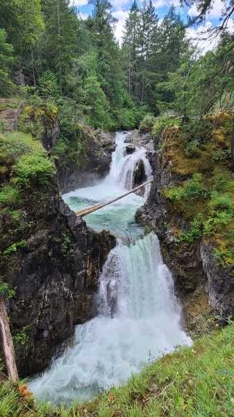 Waterfalls, Coombs, and Cathedral Grove Rain Forest