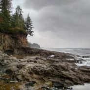 Experience Sooke to Port Renfrew