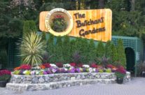 Luxury City Tour of Victoria and the Butchart Gardens