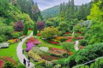Private Luxury City Tour of Victoria and the Butchart Gardens