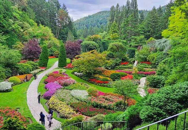 Private Luxury City Tour of Victoria and the Butchart Gardens