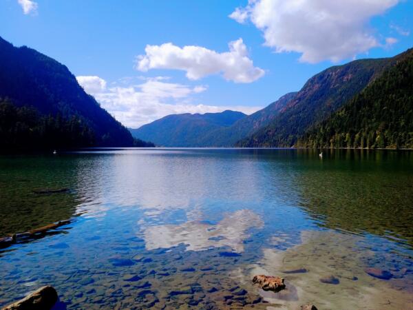 Waterfalls, Coombs, and Cathedral Grove Rain Forest | Surfside ...